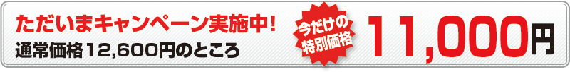 ただいまキャンペーン中！通常価格12,600円のところなんと今だけ特別価格11,000円！